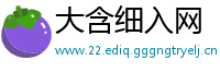 大含细入网